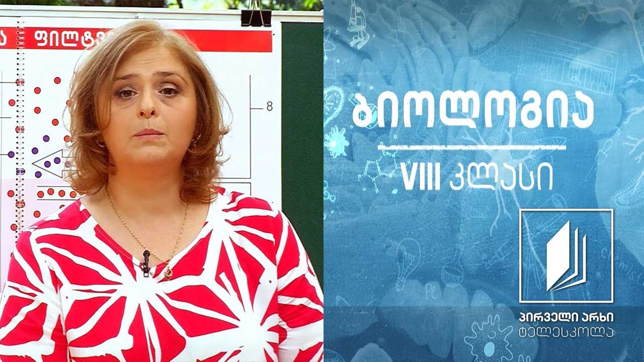 ბიოლოგია VIII კლასი - სისხლის შემადგენელი კომპონენტების აგებულება და ფუნქციები #ტელესკოლა