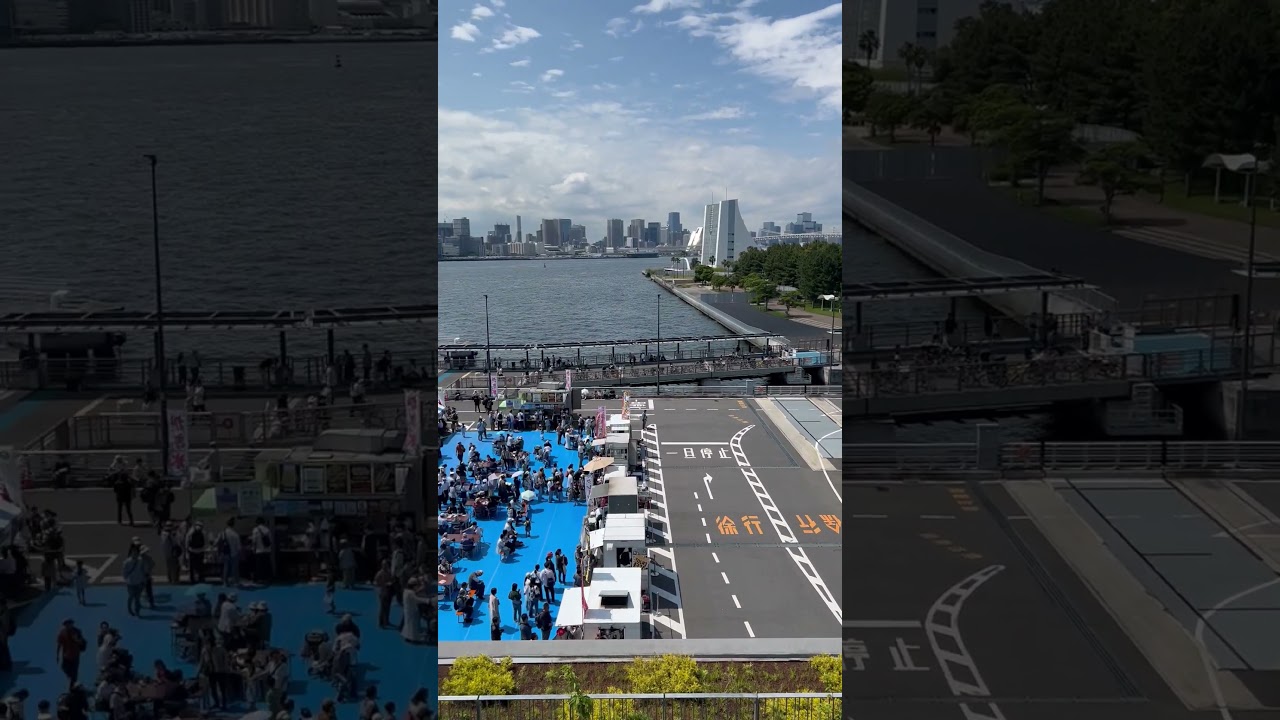 Tokyo’s Coast view from International Cruise Terminal