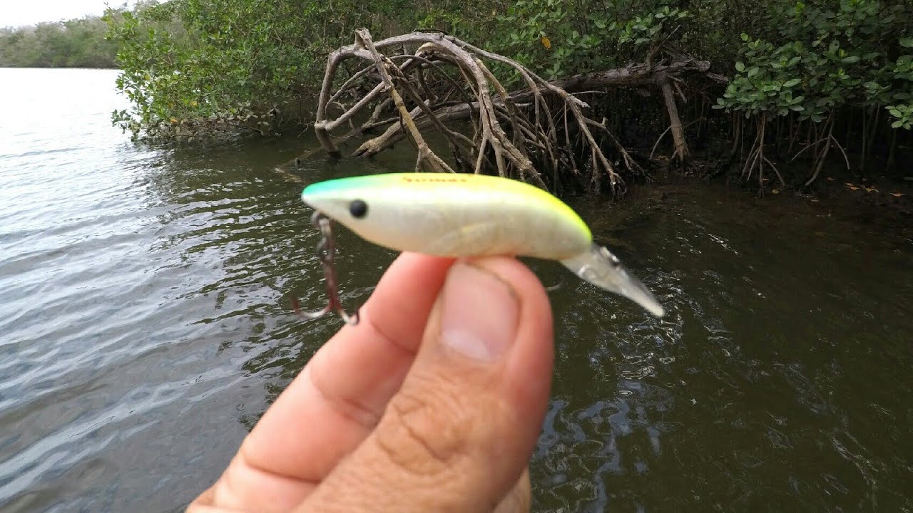 O CAMARÃO DOIDO DEIXA O PEIXE MALUCO!