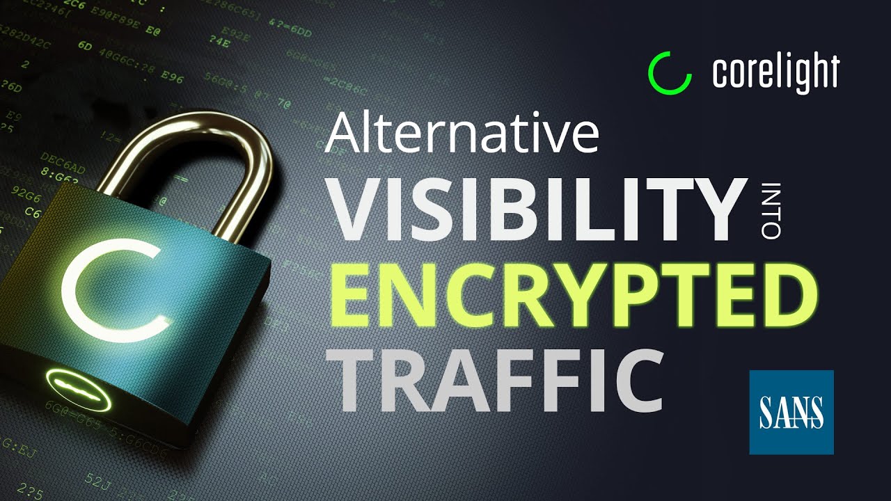 Alternative Network Visibility Strategies for an Encrypted World