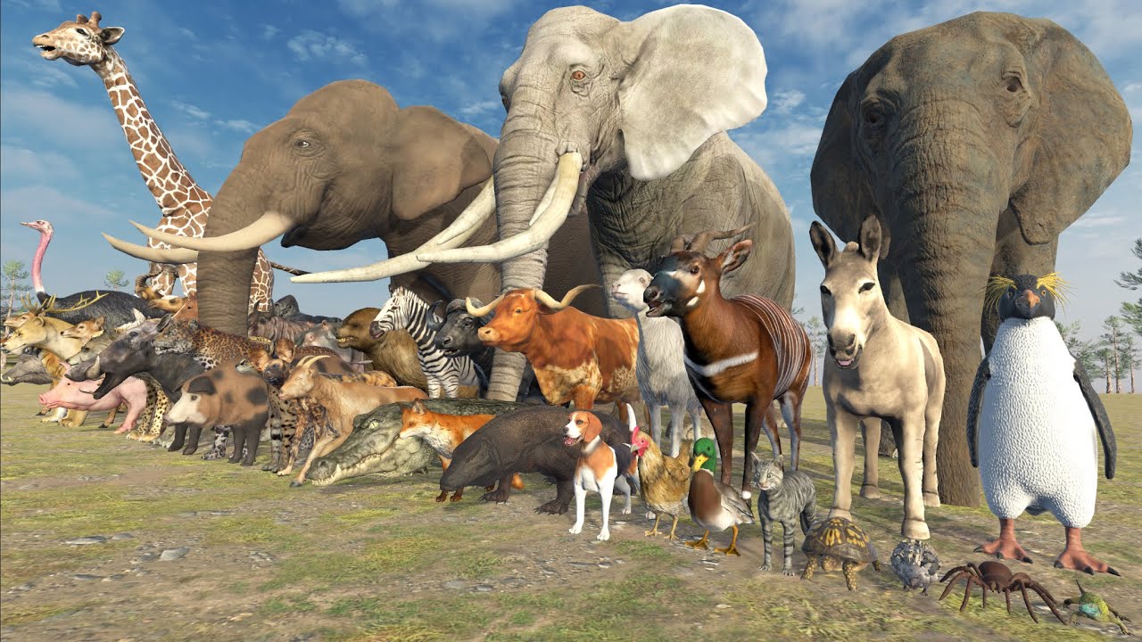 Animal Size COMPARISON in 3D Animation | Realistic World Data