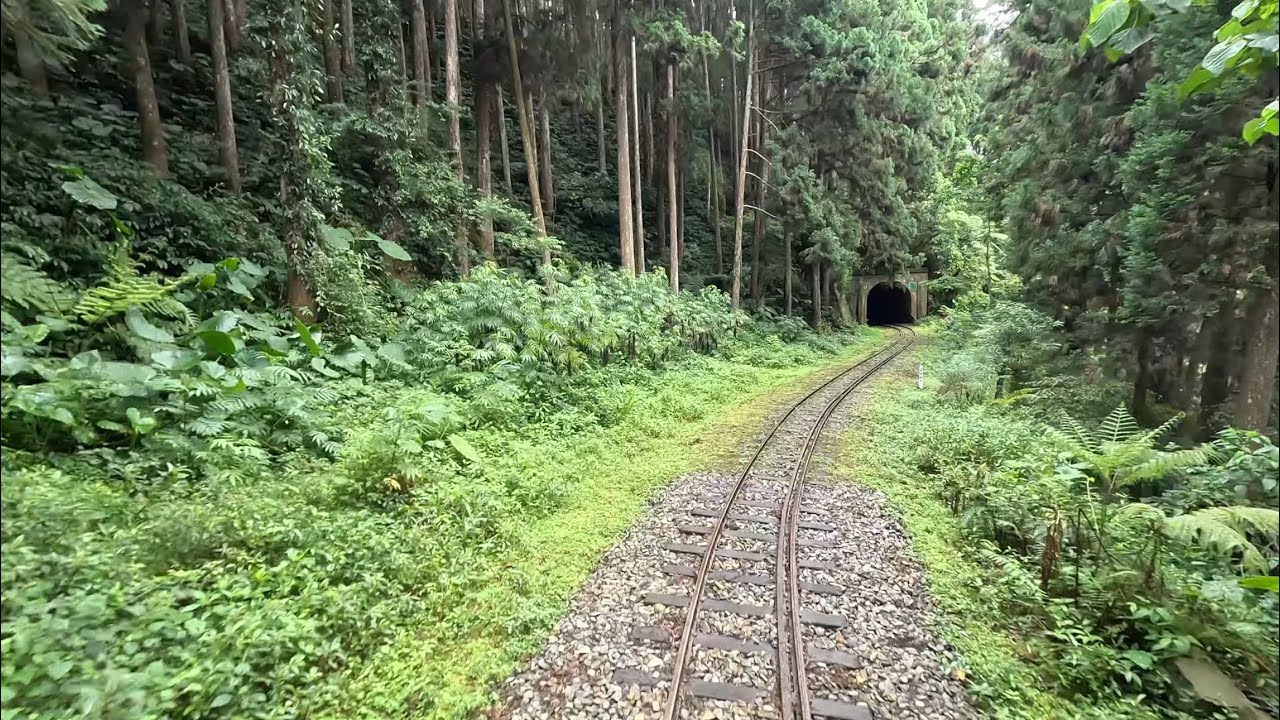 【Alishan Forest Railway】Main Line Train Cab Ride (Alishan to Shizilu)｜林鐵本線路程景(阿里山-十字路)