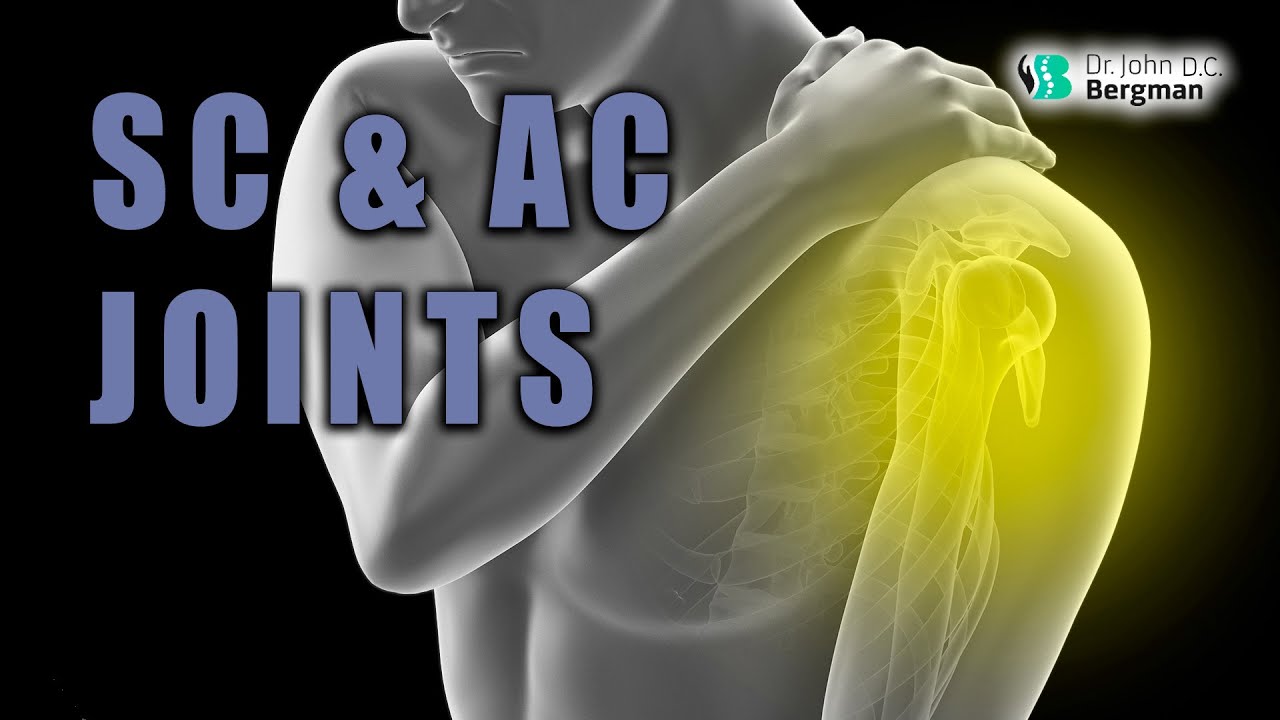 The Shoulder - SC & AC Joints 🦾💪