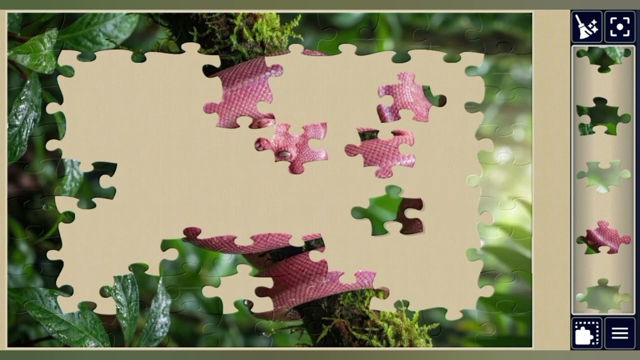 Glowing Pink Snake💗🐍in Rain Forest 🌧️🌳🧩 beautiful jigsaw puzzle 🧩//@jigsawpuzzle45 