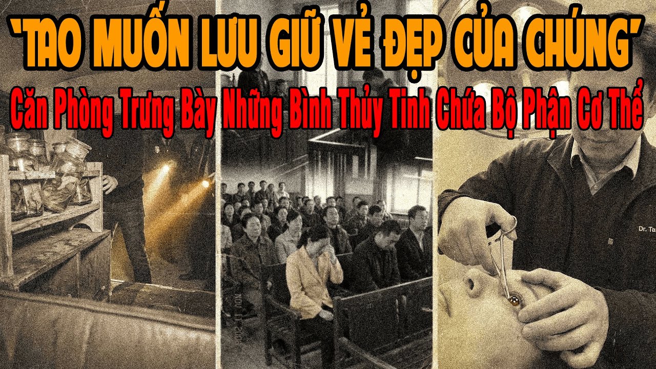 🔔 Kỳ Án Trung Quốc 