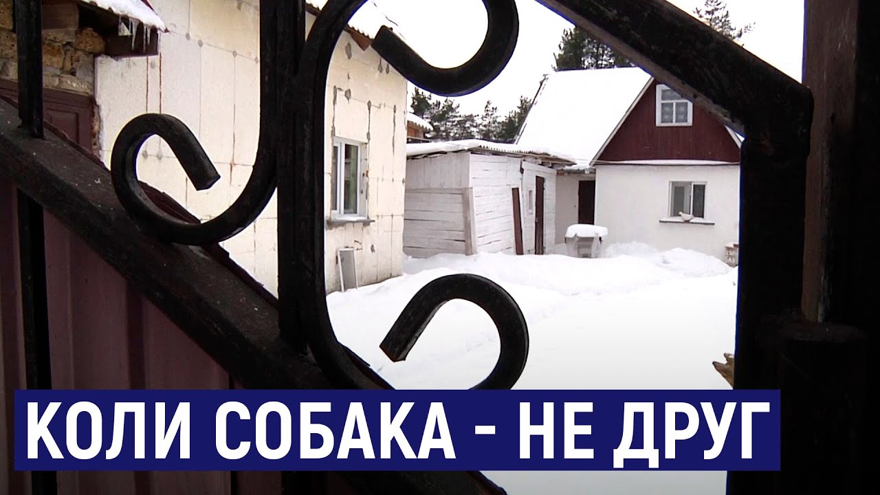 У Коростишівському районі чоловік ловив собак по селу, після чого вбивав їх та їв