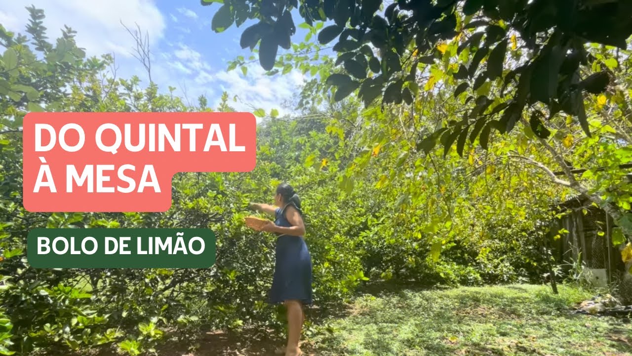 Bolo de LIMÃO direto do quintal 