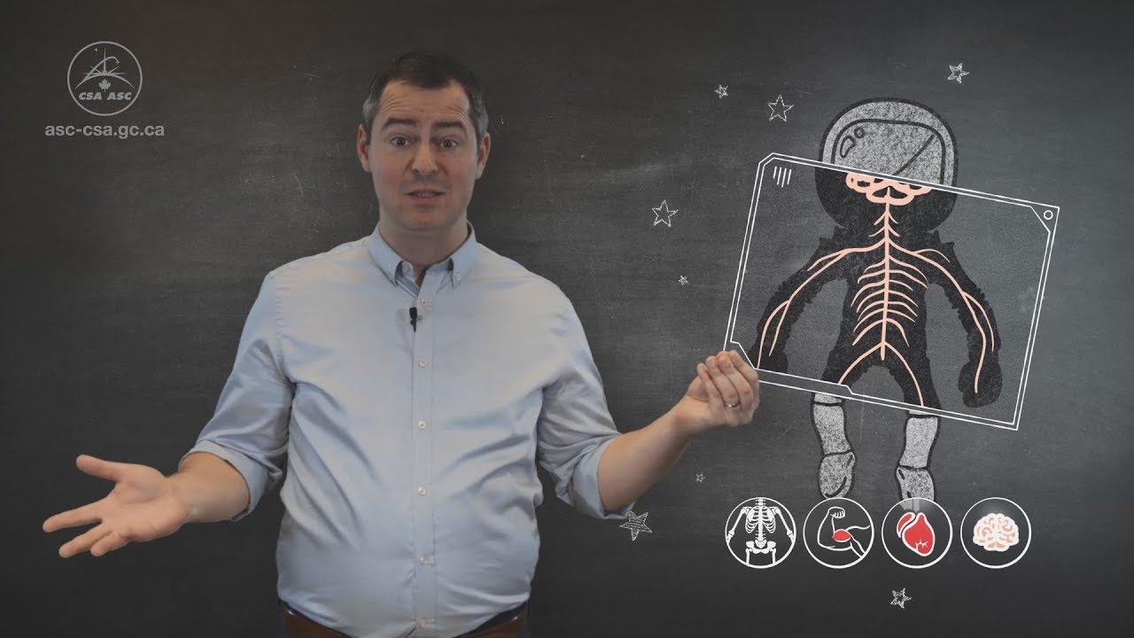 Why do we do science in space?