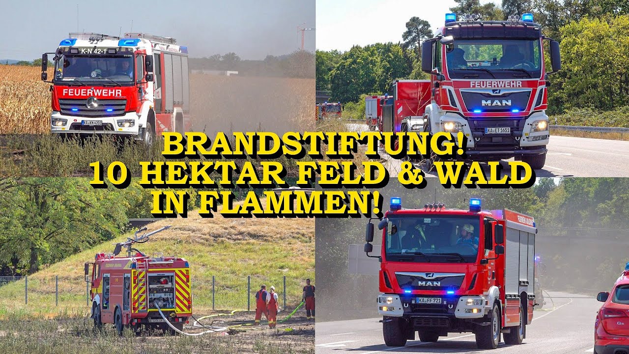 [BRANDSTIFTER SCHLÄGT ERNEUT ZU] - 10 HEKTAR FELD & WALD IN FLAMMEN - | 110 KRÄFTE DER FEUERWEHR