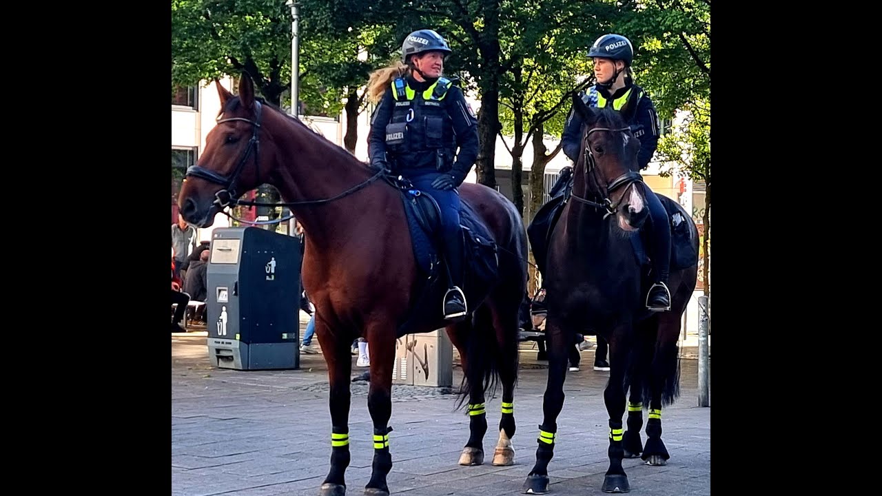 Polizei Hamburg Einsatz Kolonnenfahrt