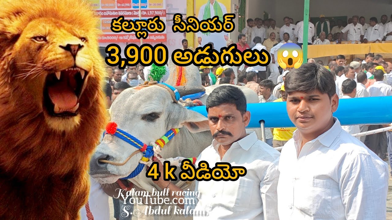 4 వీడియో కల్లూరు సీనియర్ బో రెడ్డి కేశవరెడ్డి గారు 3,900 అడుగులు అనగా 13 బార్లు ( 25 నిమిషాల సమయం )