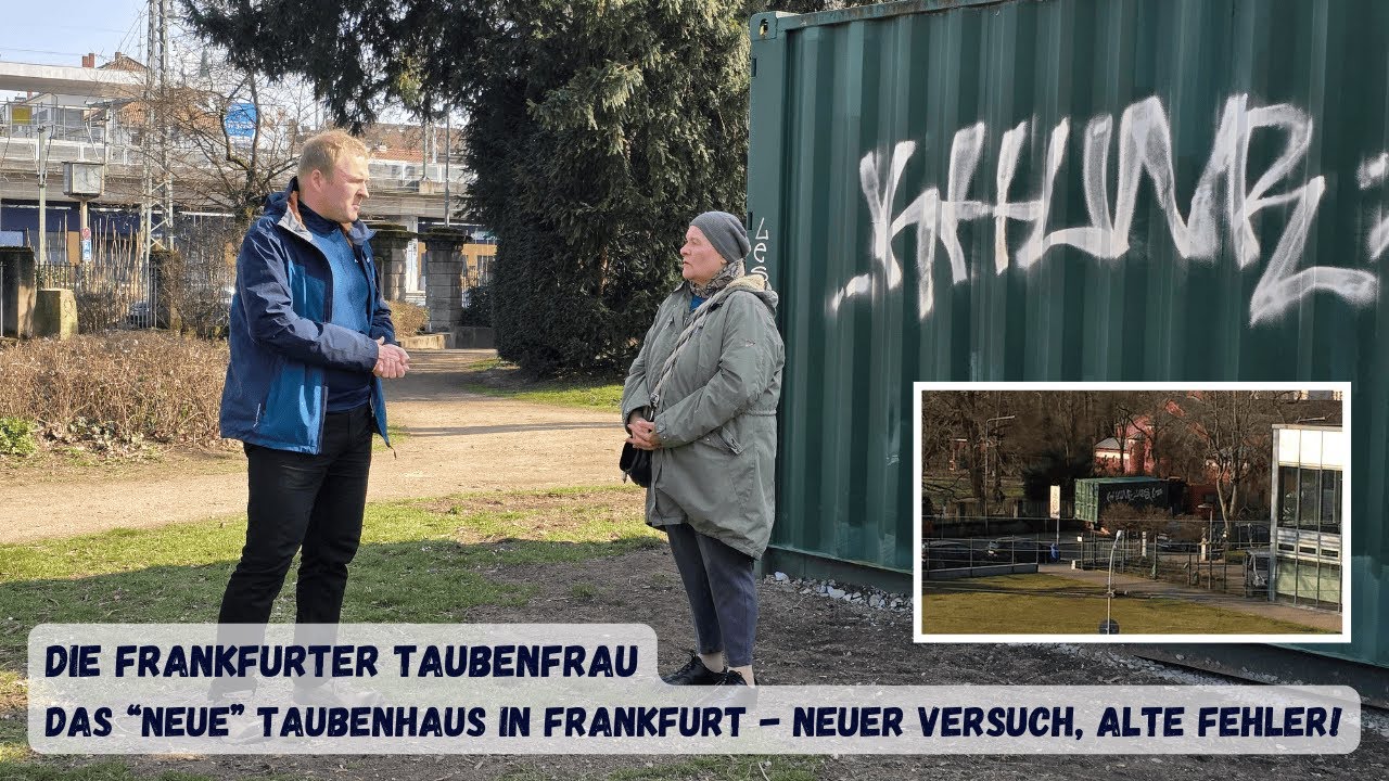 Enttäuschung nach kurzer Freude: Taubencontainer umgezogen, Problem nicht gelöst