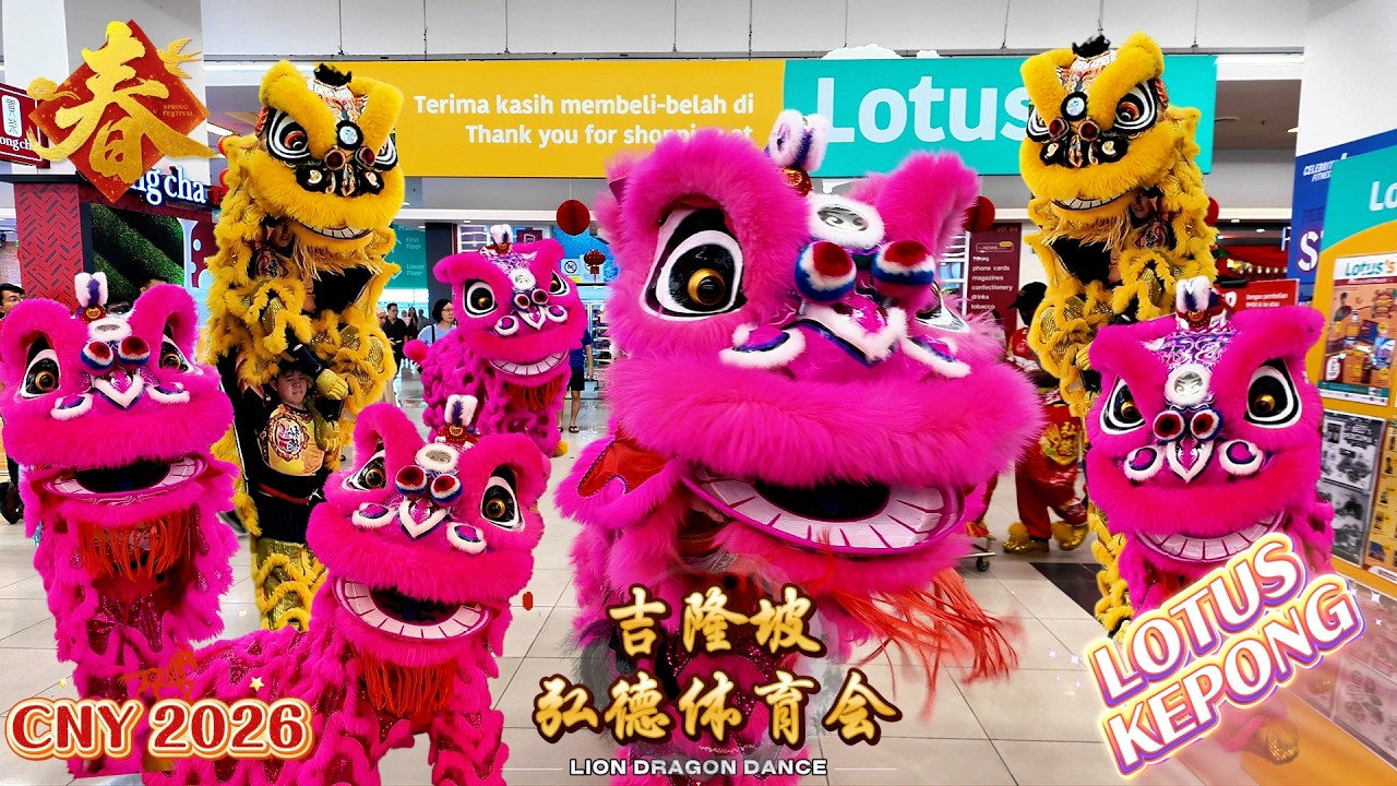 CNY 2026 | 双粉红醒狮狂燃登场 ~ 黄狮高桩极限挑战  🦁🔥 Lotus Kepong