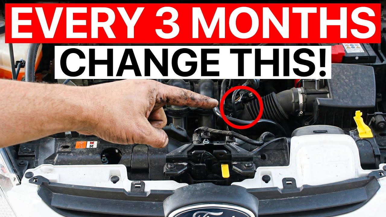 7 Maintenance Habits That Made This Ford Last 1,000,000 Miles (REAL PROOF!)
