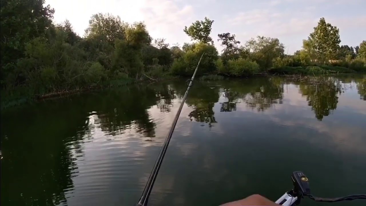 Buzz bait action