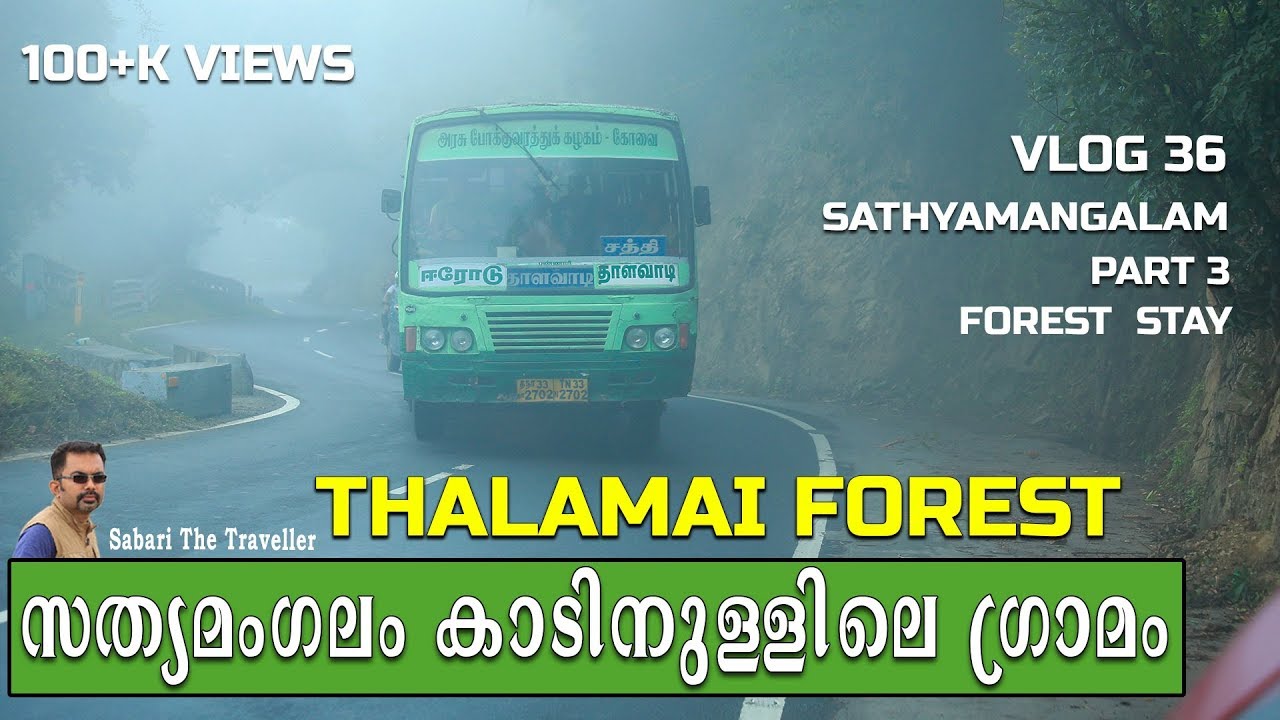 Talamalai| Sathyamangalam|தலமலை R.F |സത്യമംഗലം| VLOG 36