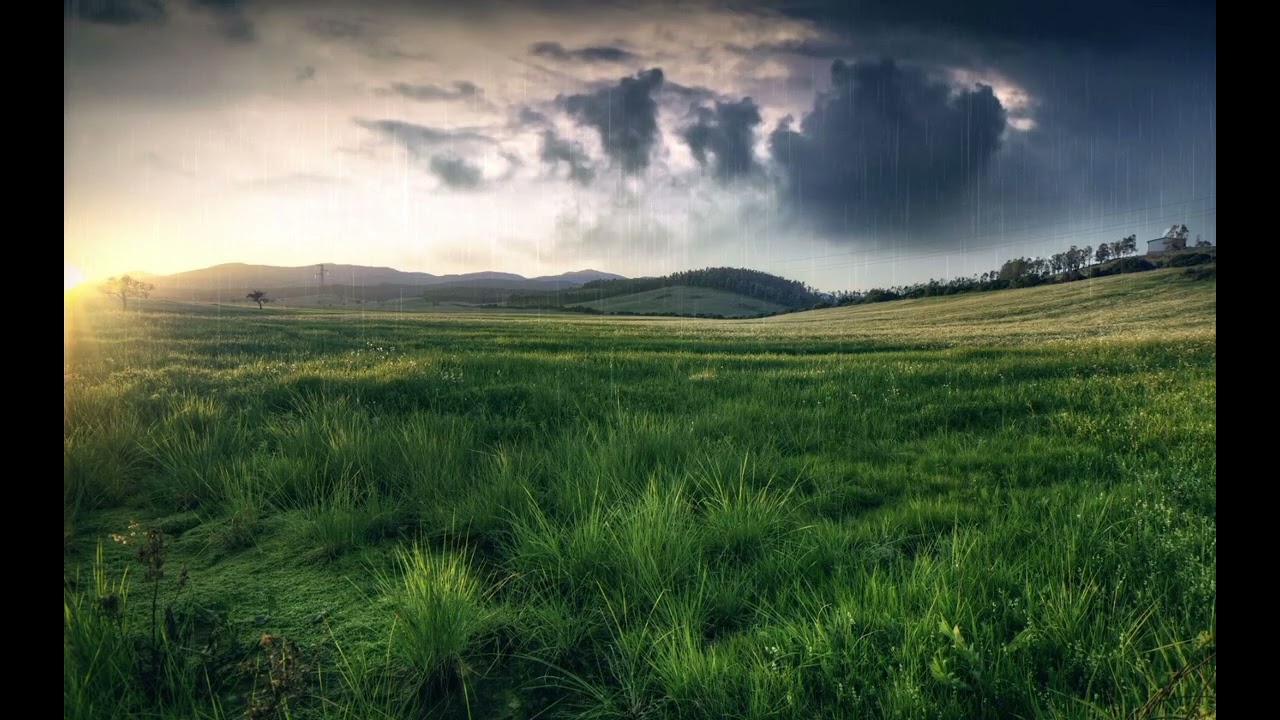 Weathering With You