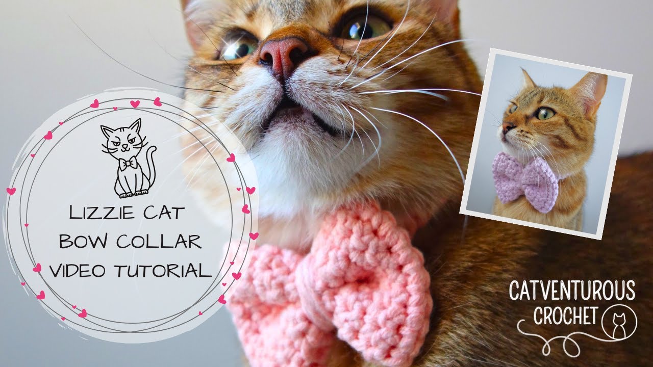 Lizzie Cat Bow Collar - Catventurous Crochet