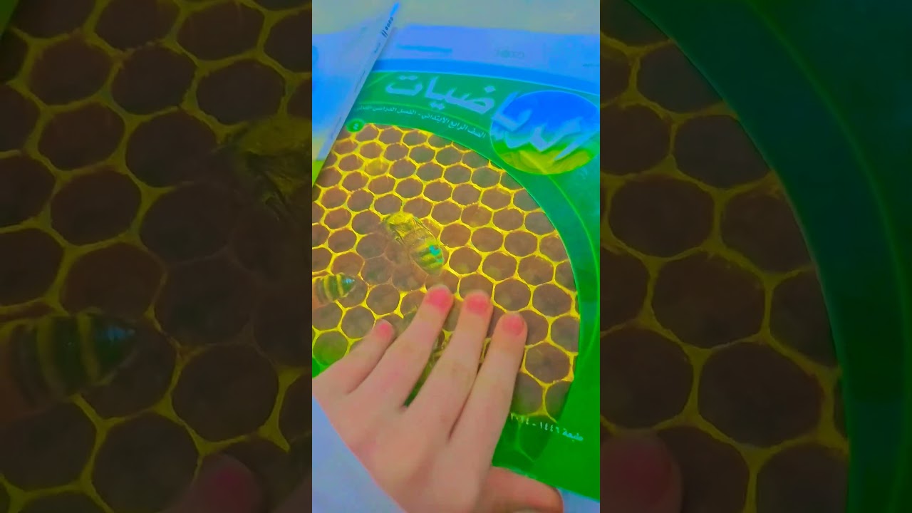 شو فيد المدرس يعن😅👆اشترك ولا