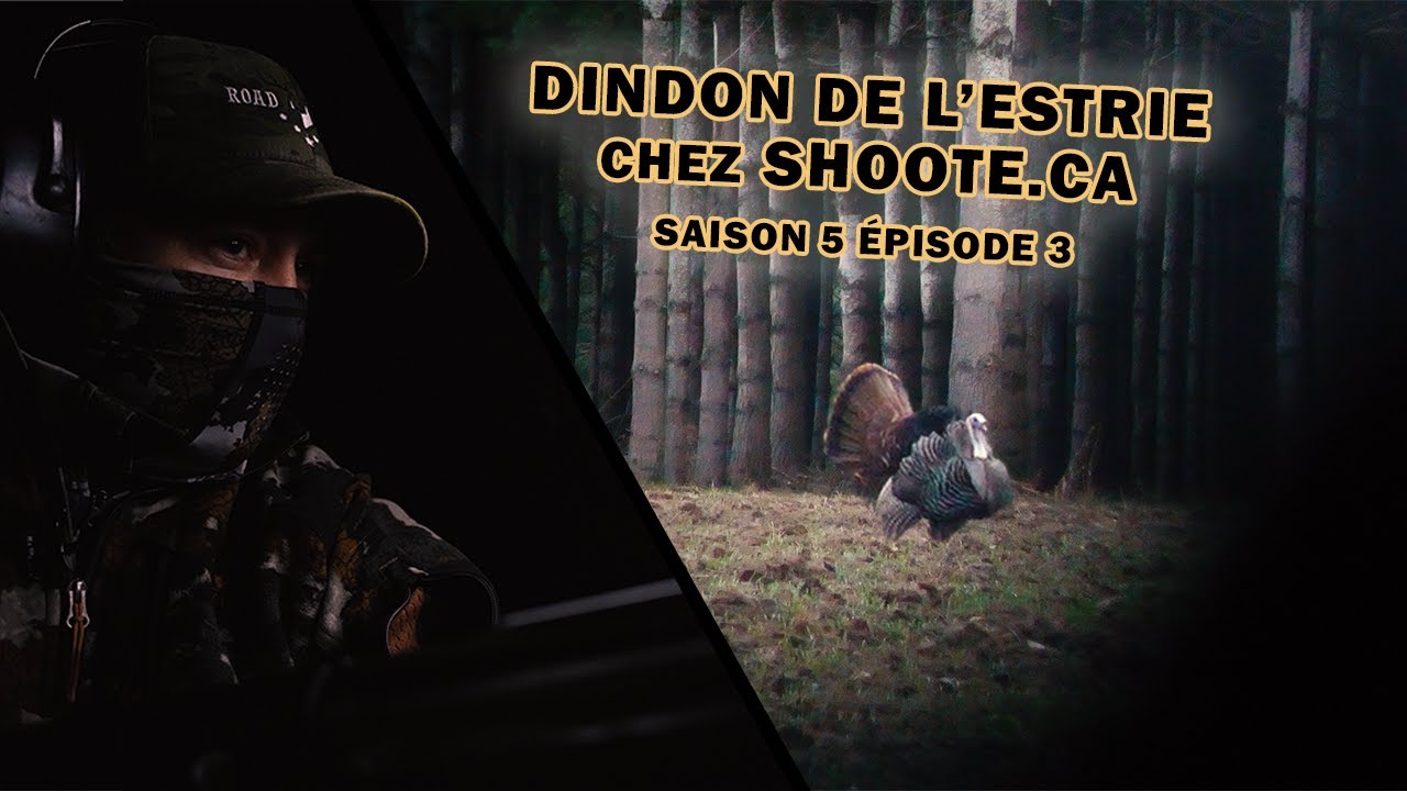 Chasser le dindon sauvage en ESTRIE - SHOOTE.ca | Roadhunt - Saison 5 Épisode 3