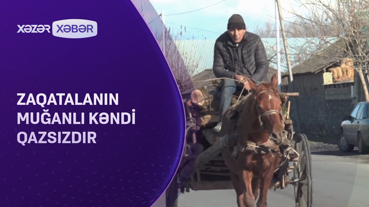 Zaqatalanın Muğanlı kəndi qazsızdır - Sakinlər çətinlik çəkirlər