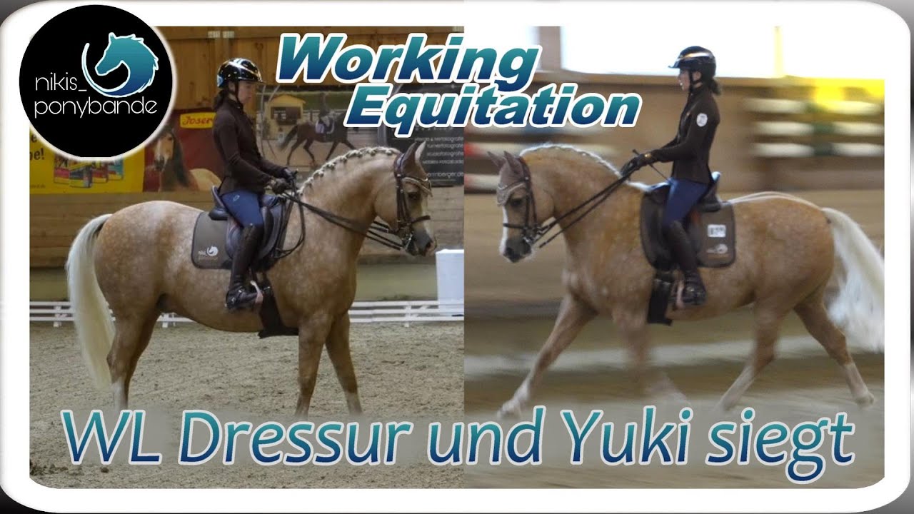 nikis_ponybande WL Dressur und Yuki siegt | Working Equitation Turnier Klasse L | 9.9.22 Irschenberg