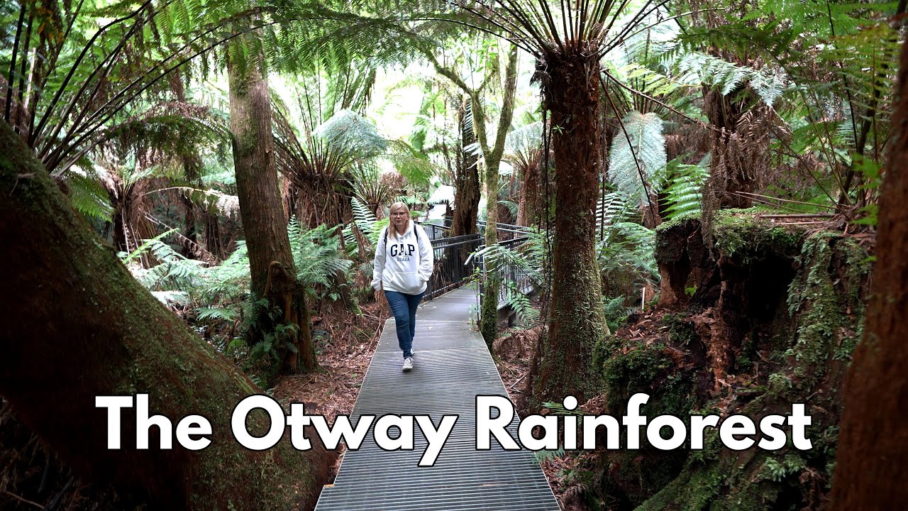 Why the Otway Rainforest Is a Must-See Attraction on Australia's Great Ocean Road