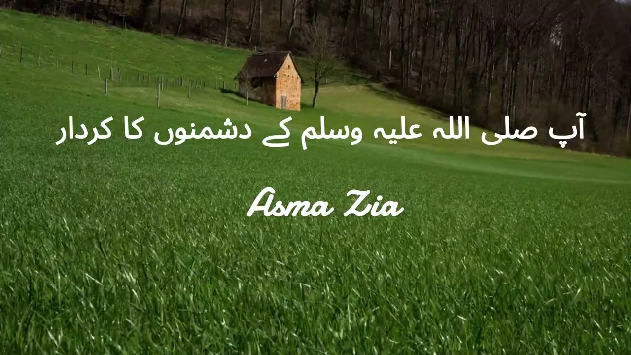 آپ ﷺ کے دشمنوں کا کردار