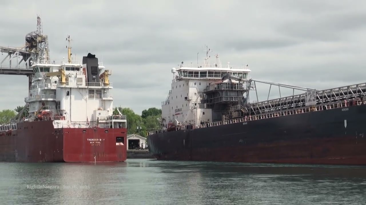 Ship THUNDER BAY passing under-repair ALGOMA SAULT, Port Colborne, Welland Canal 2025