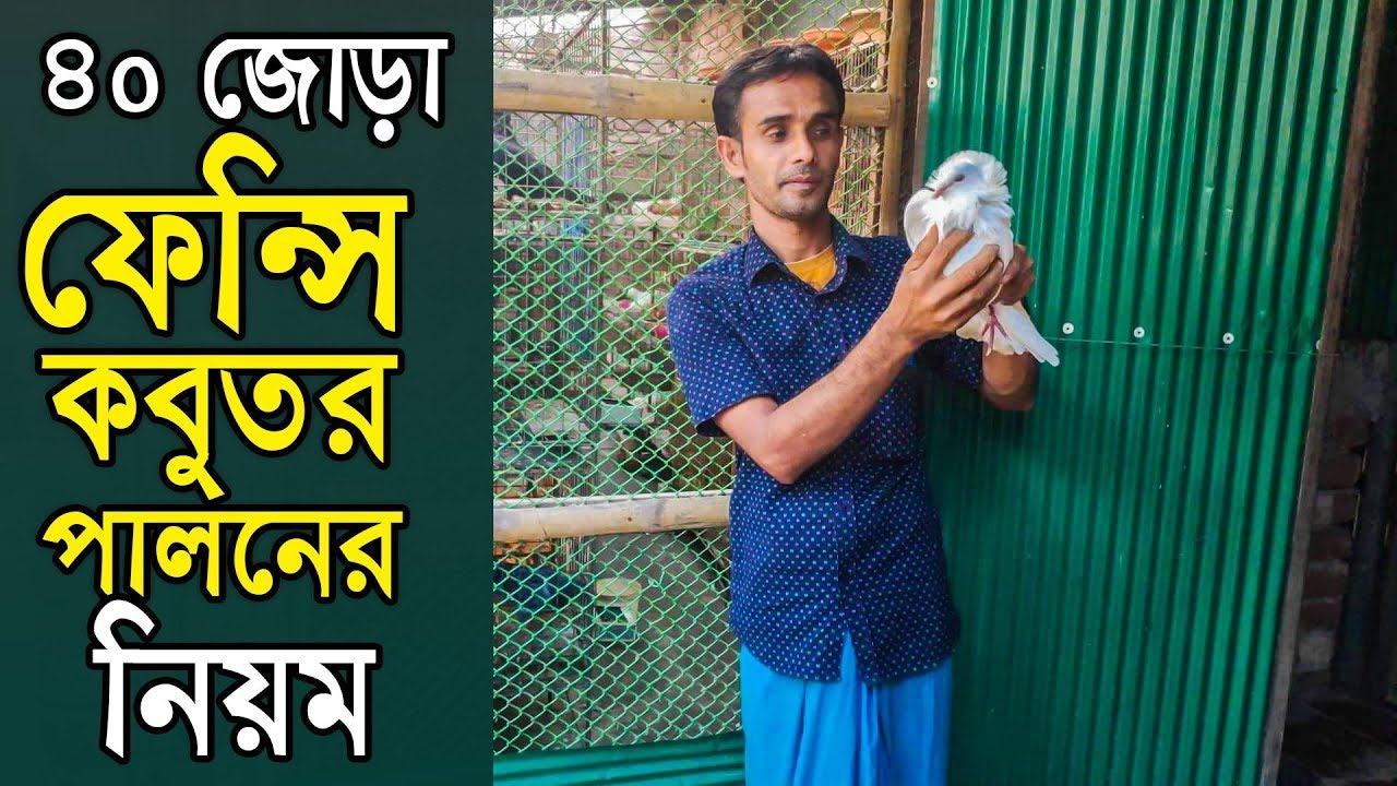 তিন বেলা ভাত খেতে পারতাম না আগে কিন্তু কবুতর পালন করে খুব ভাল আছি আমি