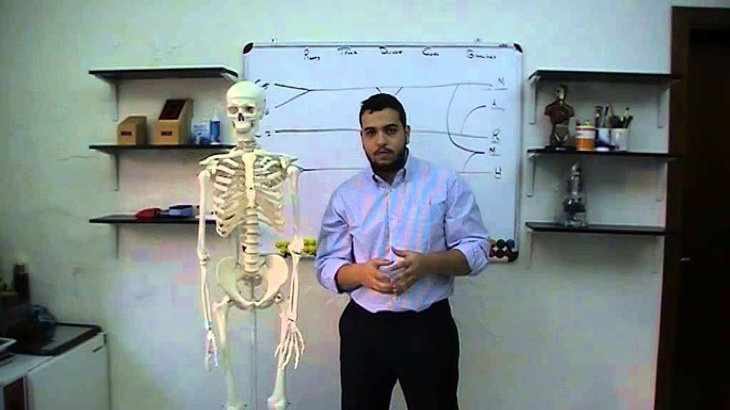 Continuation  Of Nerve Injuries Of Upper Limb #14