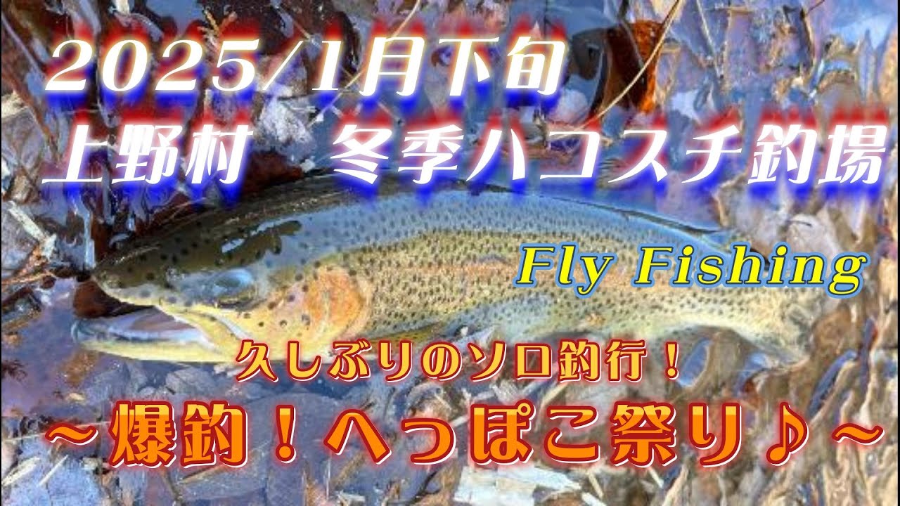 【フライフィッシング】久しぶりのソロ釣行は、まさかの爆釣！ひとりへっぽこ祭り開催しました♪in上野村冬季ハコスチ釣場　2025年１月下旬