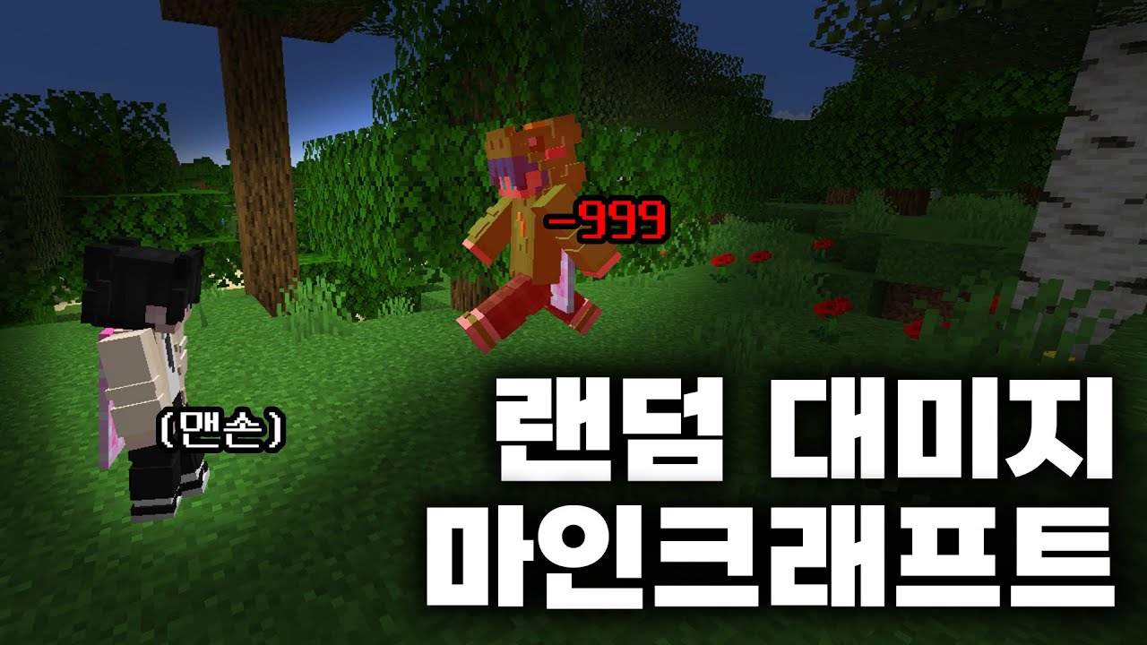 랜덤 대미지 마인크래프트