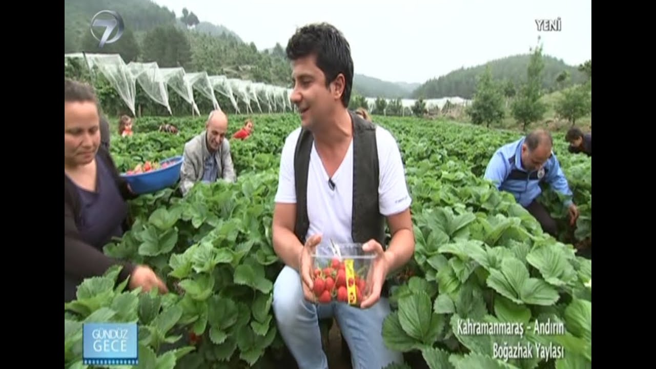 GÜNDÜZ GECE - KAHRAMANMARAŞ - 27 HAZİRAN 2015