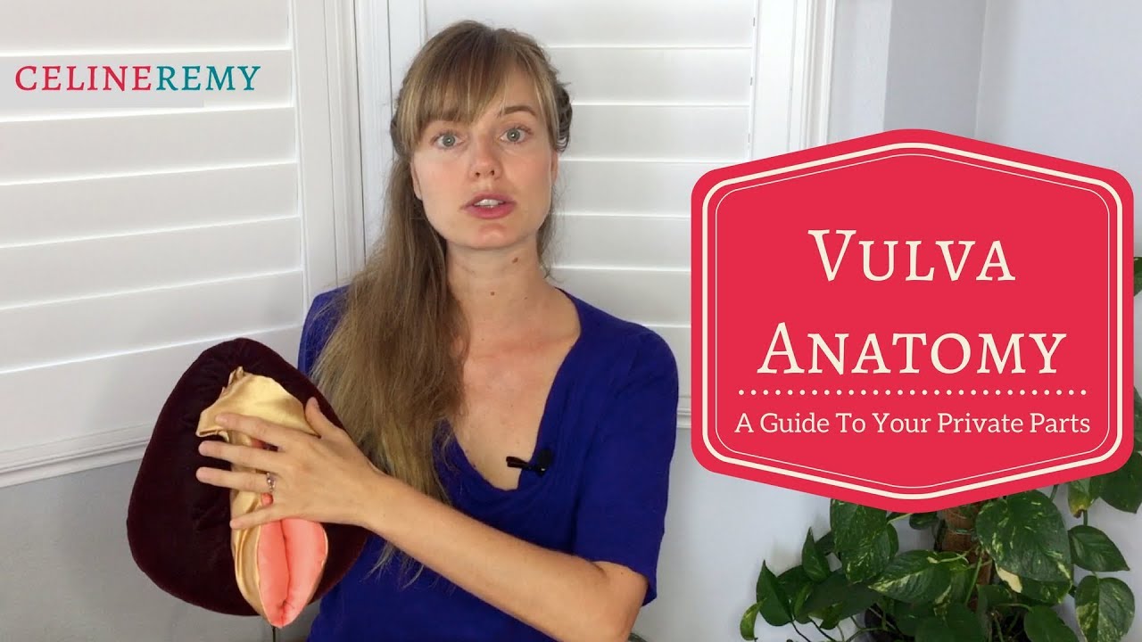 Vulva Anatomy - A Guide To Your Private Parts