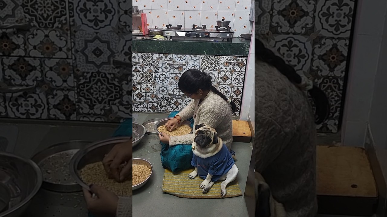 kaaju uske fav. person ke sath🥰✨️ 