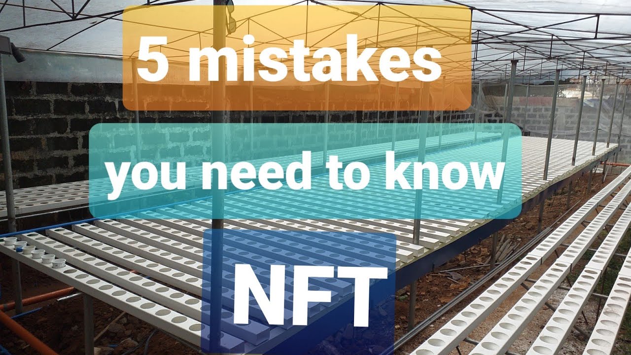 5 IMPORTANT THINGS IN NFT HYDROPONICS SYSTEM