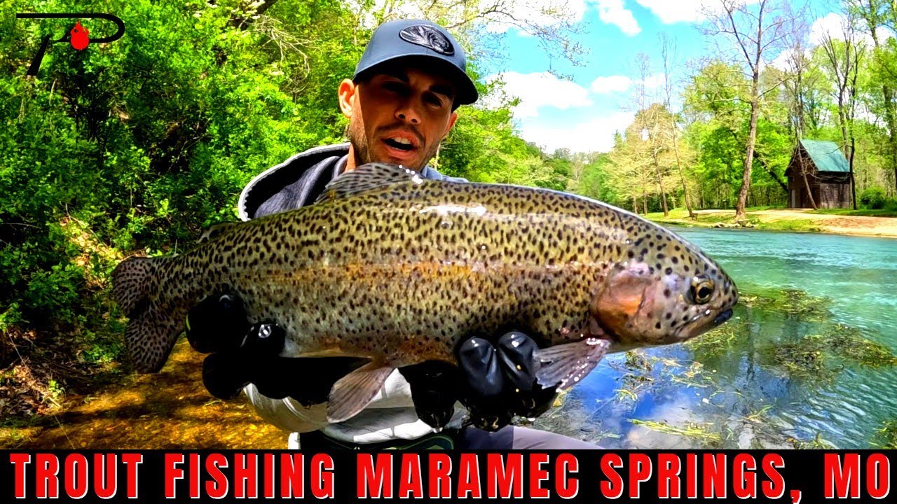 Maramec Spring Trout Fishing
