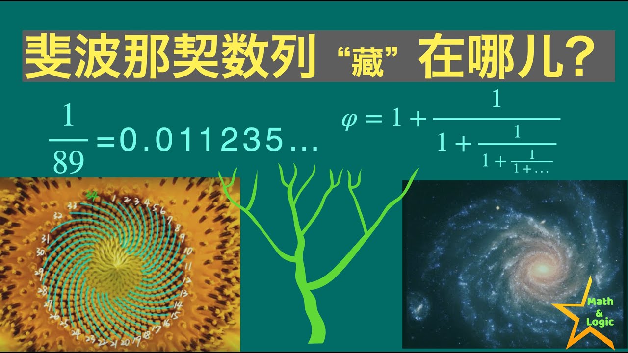 斐波那契数列都“藏”在哪儿？一起把祂找出来