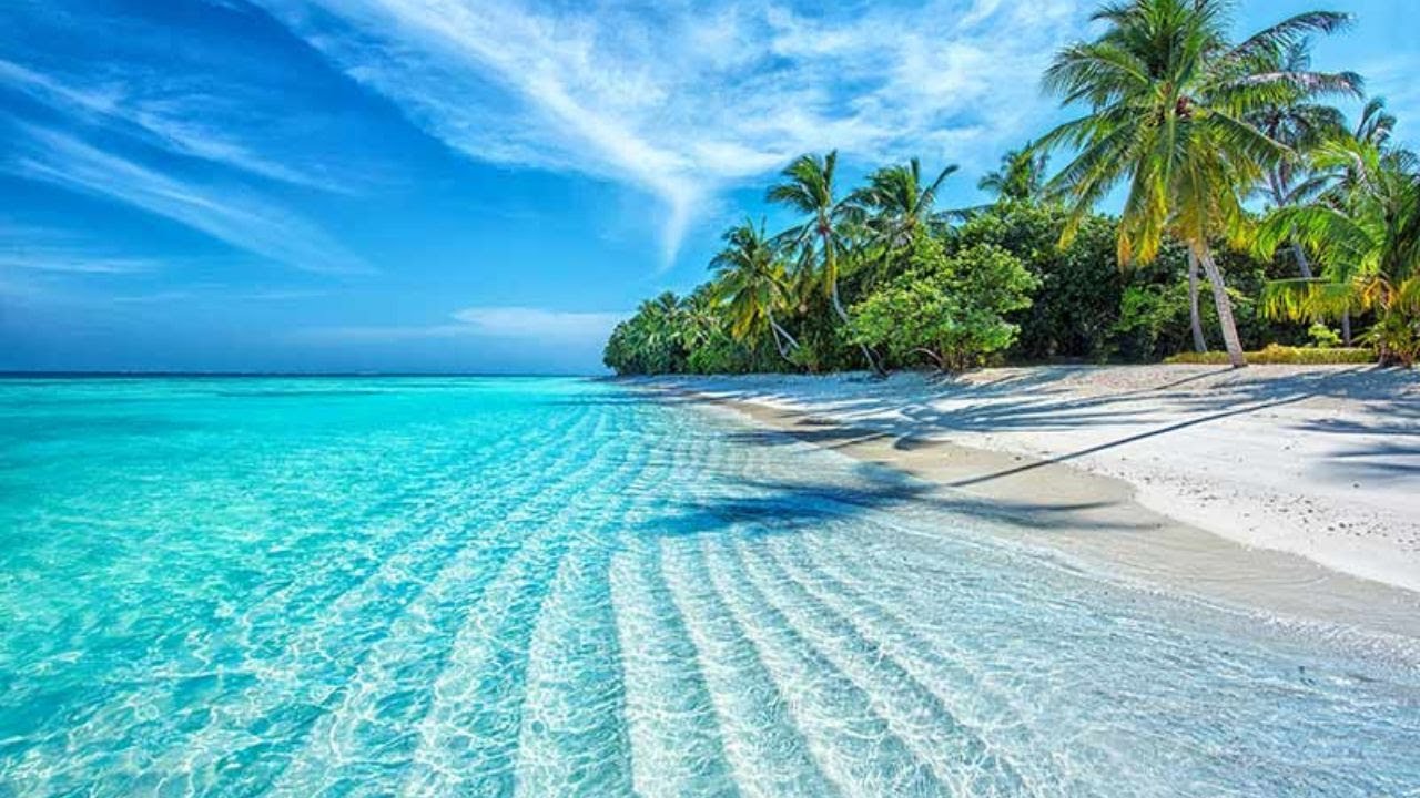 Waves & Wonders: Soothe Your Soul with a Peaceful Beach Soundscape
