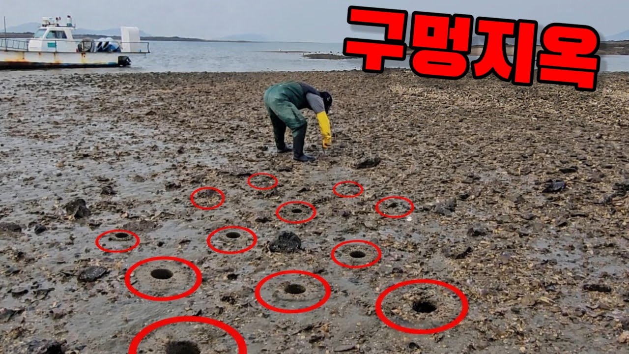 구멍이 끝도 없이 열립니다 배 내려서부터 지옥이었습니다