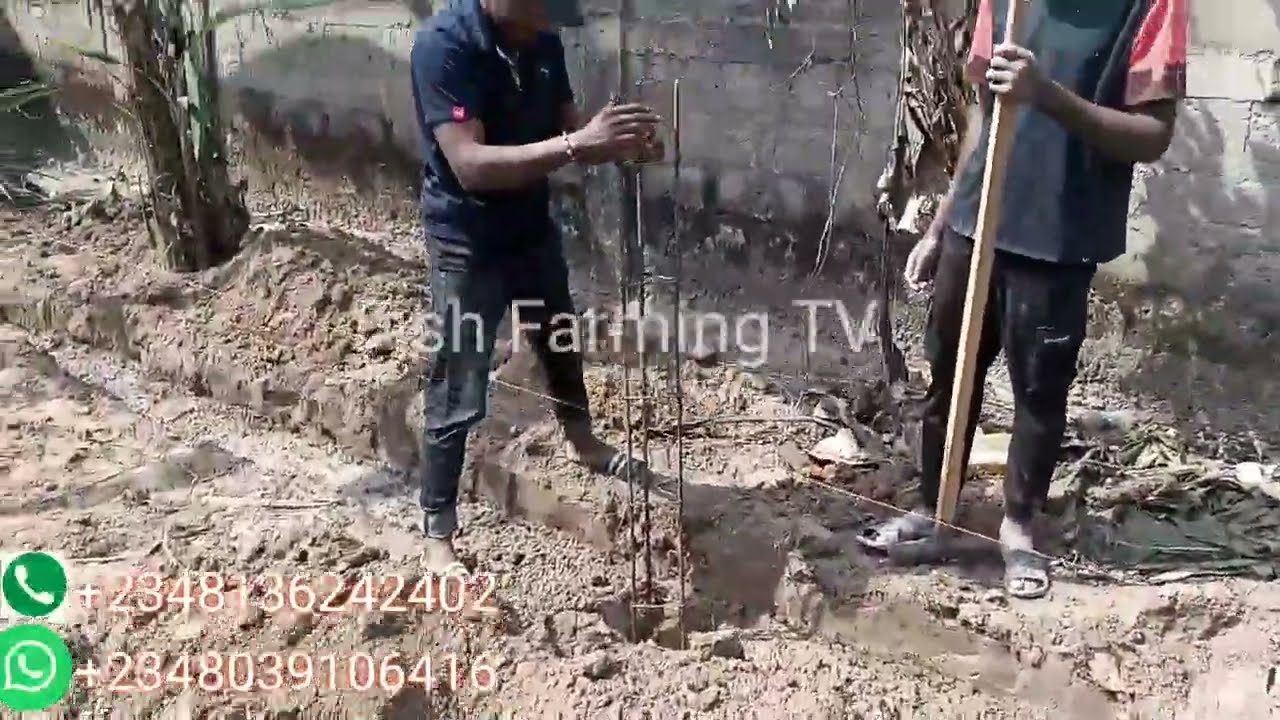 How to build your fish pond foundation