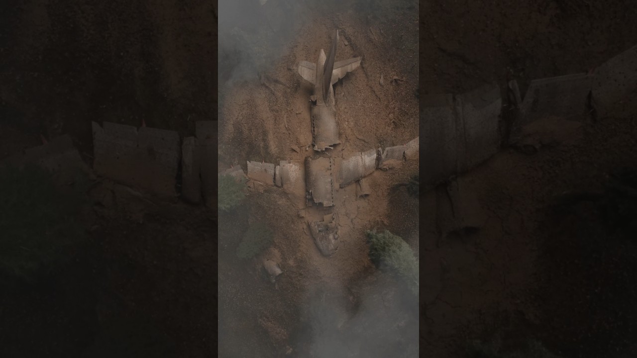 Forgotten plane wreck in the woods🎬✈️
