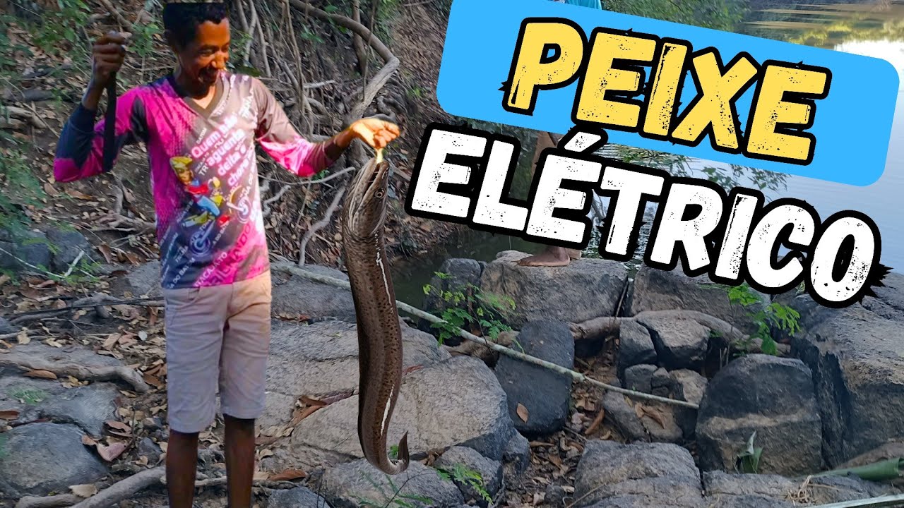 PEGAMOS UM PEIXE ELÉTRICO ( Poraquê ) NO ANZOl. T.02 EP.20