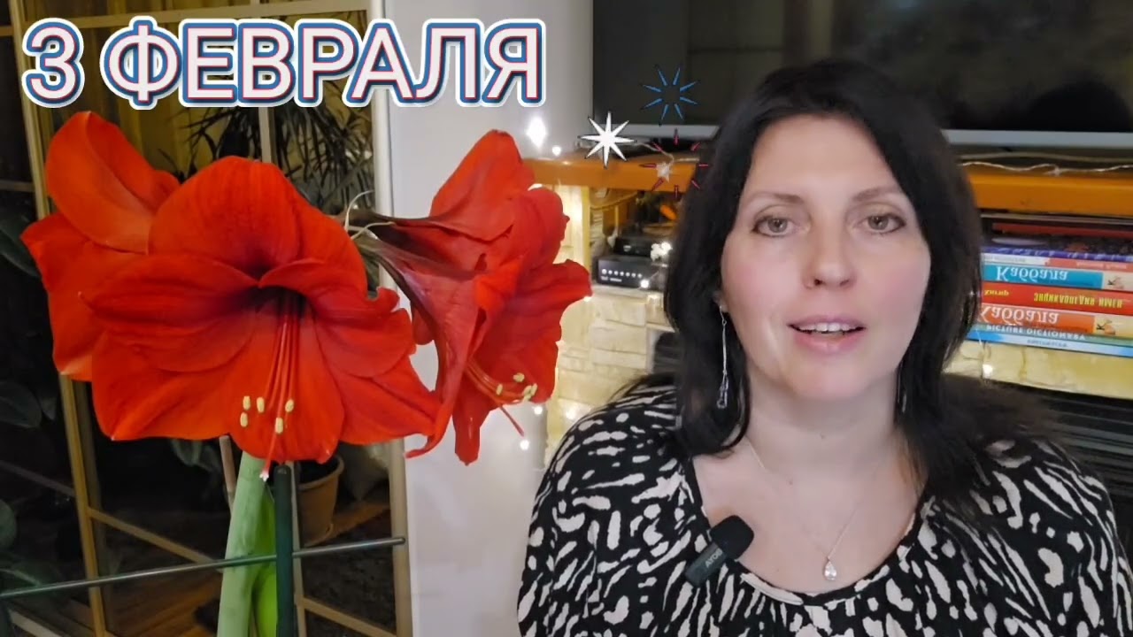 3 ФЕВРАЛЯ АСТРОПРОГНОЗ НА ДЕНЬ 
