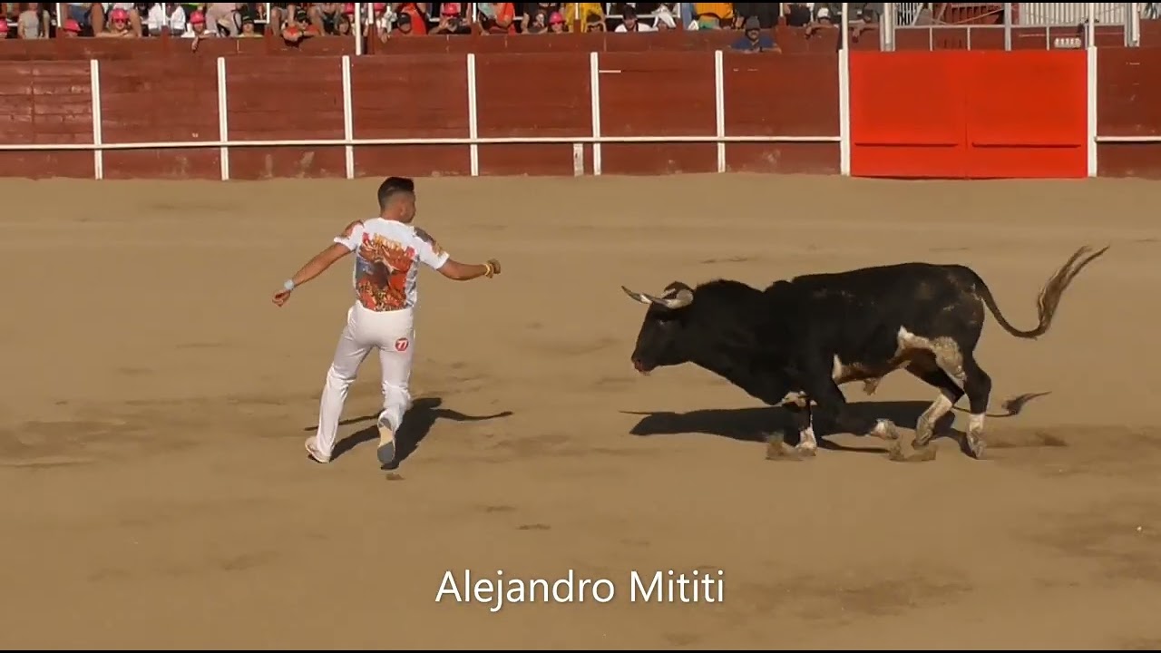 Mejorada del Campo 2023
