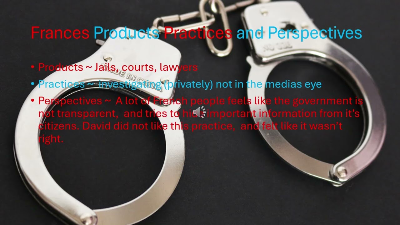 The Criminal Justice System From the Eyes of Canada, France, and Togo