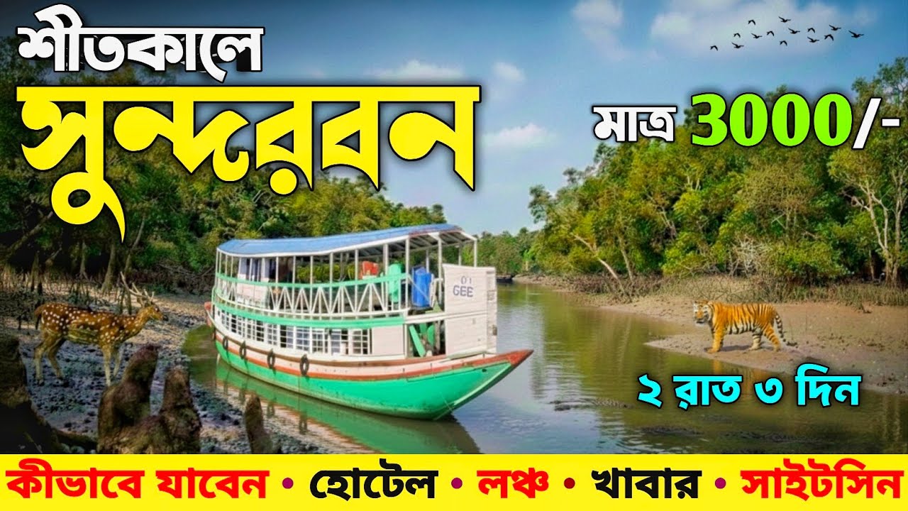 Sundarban Tour | শীতকালে সুন্দরবন ভ্রমণ | 2 Night 3 Days Sundarban Tour Package 2026 | Sundarban