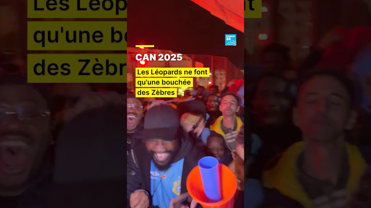 Botswana - RD Congo : les L&eacute;opards ne font qu'une bouch&eacute;e des Z&egrave;bres &bull; FRANCE 24