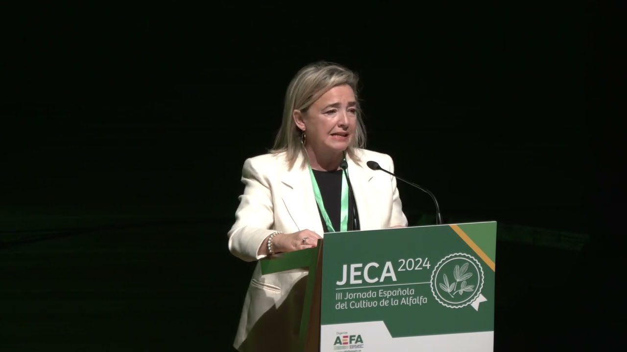 Presentación JECA 2024 Cristina Vendrell
